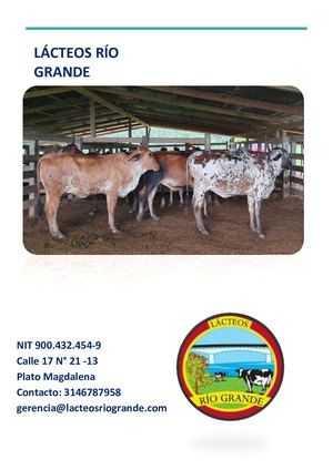 Lácteos Río Grande
