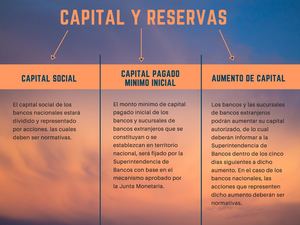 Mapa Conceptual De Capital Y Reservas