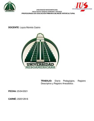 Formatos De Registro Anecdotico Y Descriptivo, Diario Pedagogico