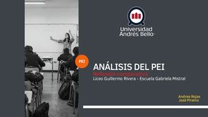 Análisis Del Pei