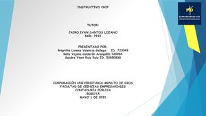 INSTRUCTIVO CHIP
