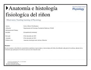 5 1 Anatomía E Histología Renal (1)