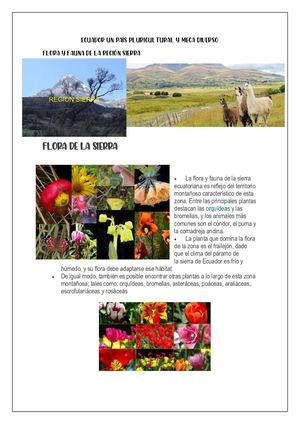 Ecuador Un País Pluricultural Y Mega Diverso