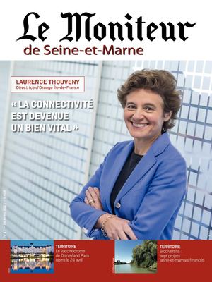 Le Moniteur de Seine-et-Marne N°17