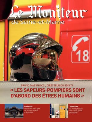 Le Moniteur de Seine-et-Marne N°15