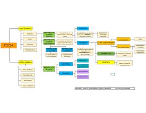 Mapa Conceptual de la FISICA