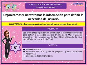 SEMANA 8- 2021- 5°EPT- ORGANIZAMOS Y SINTETIZAMOS LA INFORMACION PARA DEFINIR LA NECESIDAD DEL USUARIO