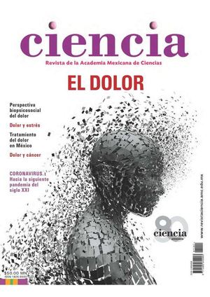 Hernán Nuño Ejercicio 25 Revista 3
