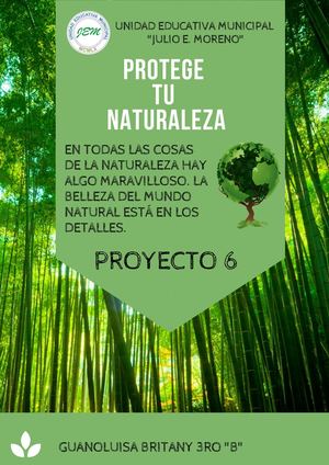 PROYECTO 6