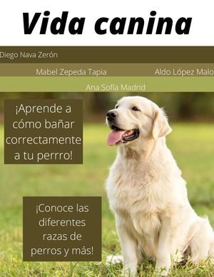 Vida canina