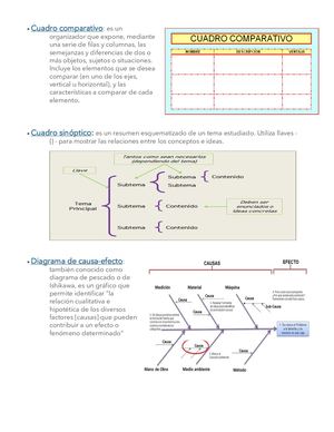 Organizadores Gráficos De Informaciòn