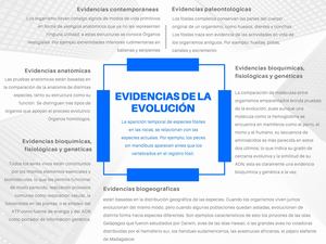 Evidencia De La Evolución