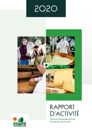 Rapport D'activité Cigc 2020