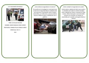 2d 36 Triptico Soria Chipayo