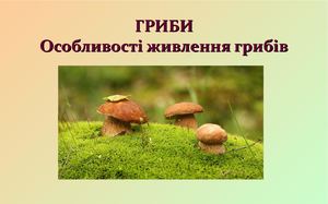 Живлення грибів