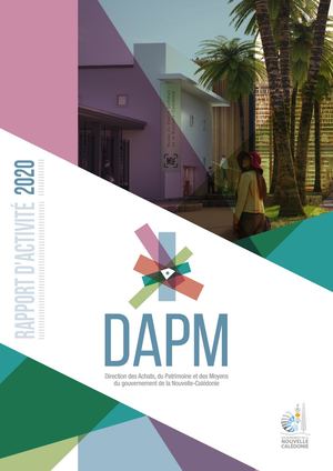 RAPPORT D'ACTVITE DAPM 2020 (GOUV NC)
