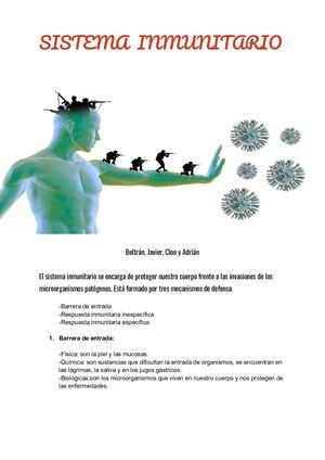 Sistema Inmunitario (1)