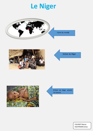 Doc Niger FLEURIOT Manon KAUFFMANN Azilys