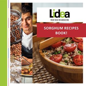 Sorghum Recipes Book By Plates