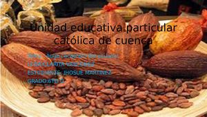 EL AUGE CACAOTERO DEL ECUAODR