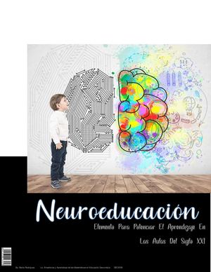 Neuroeducación Elemento Para Potenciar El Aprendizaje En Las Aulas