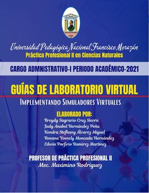 Guias De Laboratorio