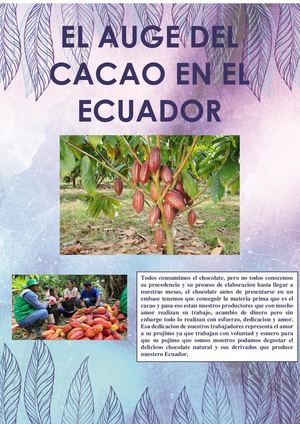 El Auge Del Cacao En El Ecuador