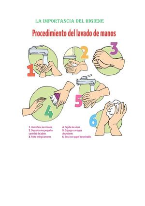 La Importancia Del Higiene