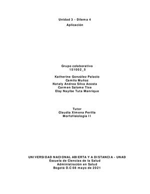 Tarea 4 Colaborativo Aplicación