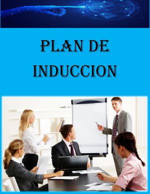 Plan De Induccion