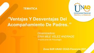Taller Ventajas Y Desventajas Del Acompañamiento De Padres