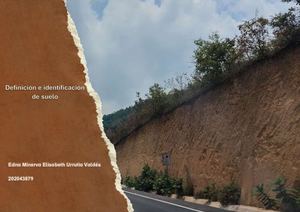 Definición E Identificación De Suelo