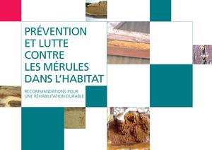 Prévention et lutte contre les mérules dans l'habitat