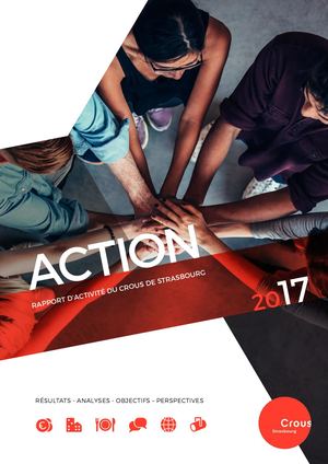 Rapport d'Activité 2017