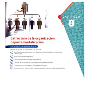 Estructura De La Organización Departamentalización
