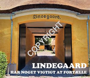 20210507 Lindegaard Har Noget Vigtigt At Fortælle 7 5 21