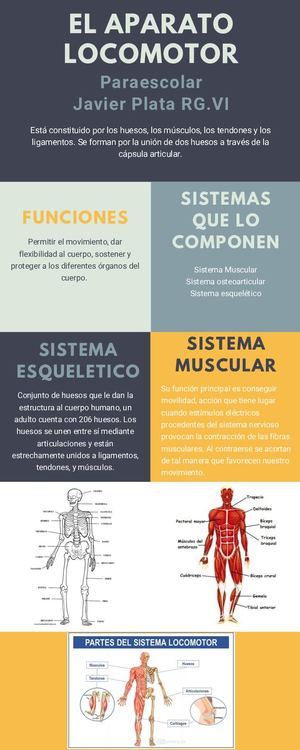 Infografía