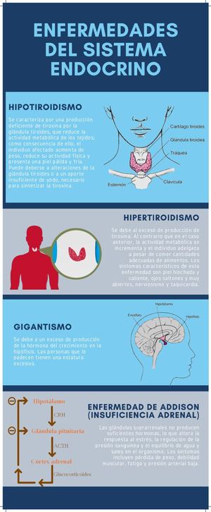 Enfermedades Del Sistema Endocrino