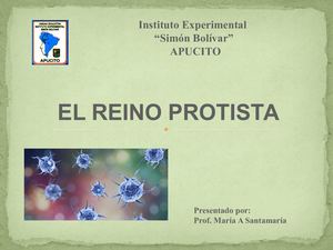 El Reino Protista