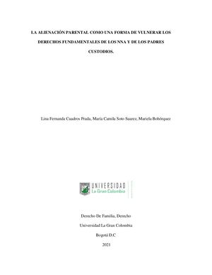 Alienación Parental, Tesis