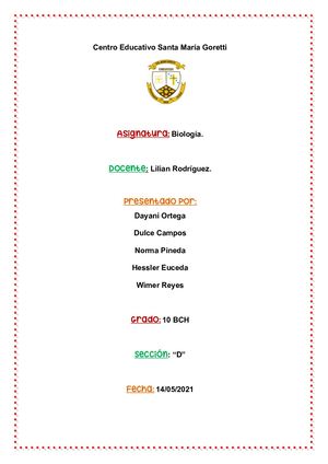 Album De Los Sistemas Del Cuerpo Humano Grupo 1 10 D