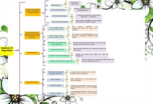 Cuadro Sinoptico De Iv Capítulo De Seguridad Lic Vargas
