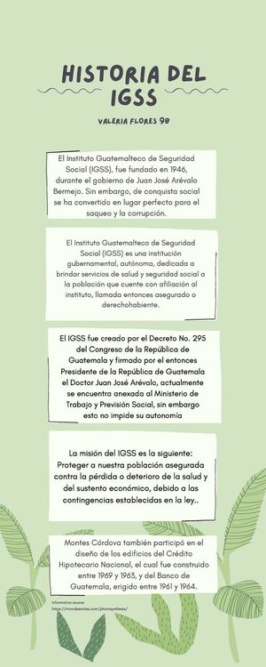 Valeria Flores 9b Infografía Igss