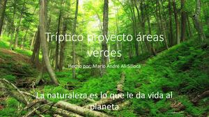 Tríptico Proyecto Áreas Verdes 2D N°02 Mario André Ali Silloca