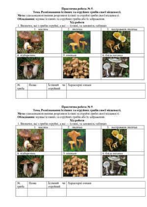 Практична робота