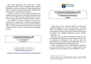 AMFAR A15 441 Obligation de balayage (1855)