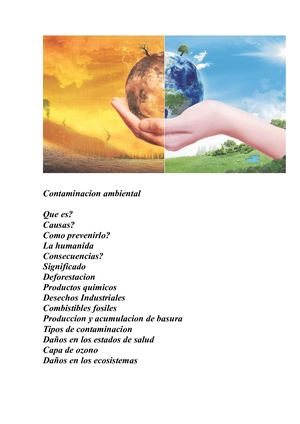 Proyecto 1 Contaminacion Ambiental
