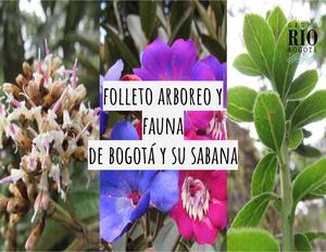 Folleto Teoría Entrega Final