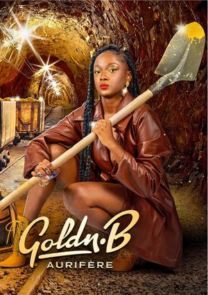 Dossier de presse Goldnb