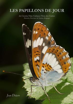Les Papillons de jour du SGIB 1372 - Crestia / Trou des Gattes / Haie Gabaux - Doische